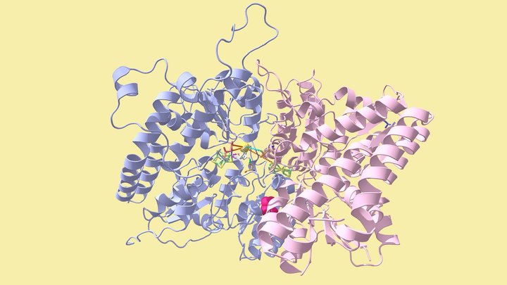 The Noble Nitrogenase☺️ 3D Model