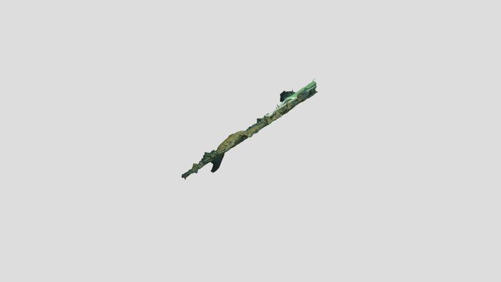 3D model Chondrosia 3D Model