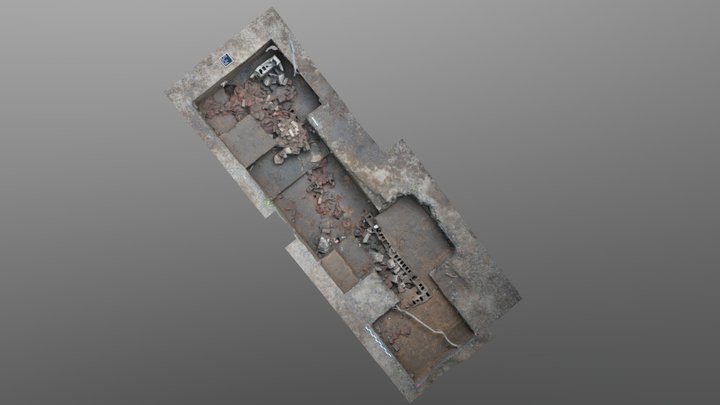 Prather Site 2026 Excavation Aerial Model 3D Model