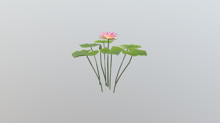 MT_PM_V39_ Nymphaea_06_05 3D Model