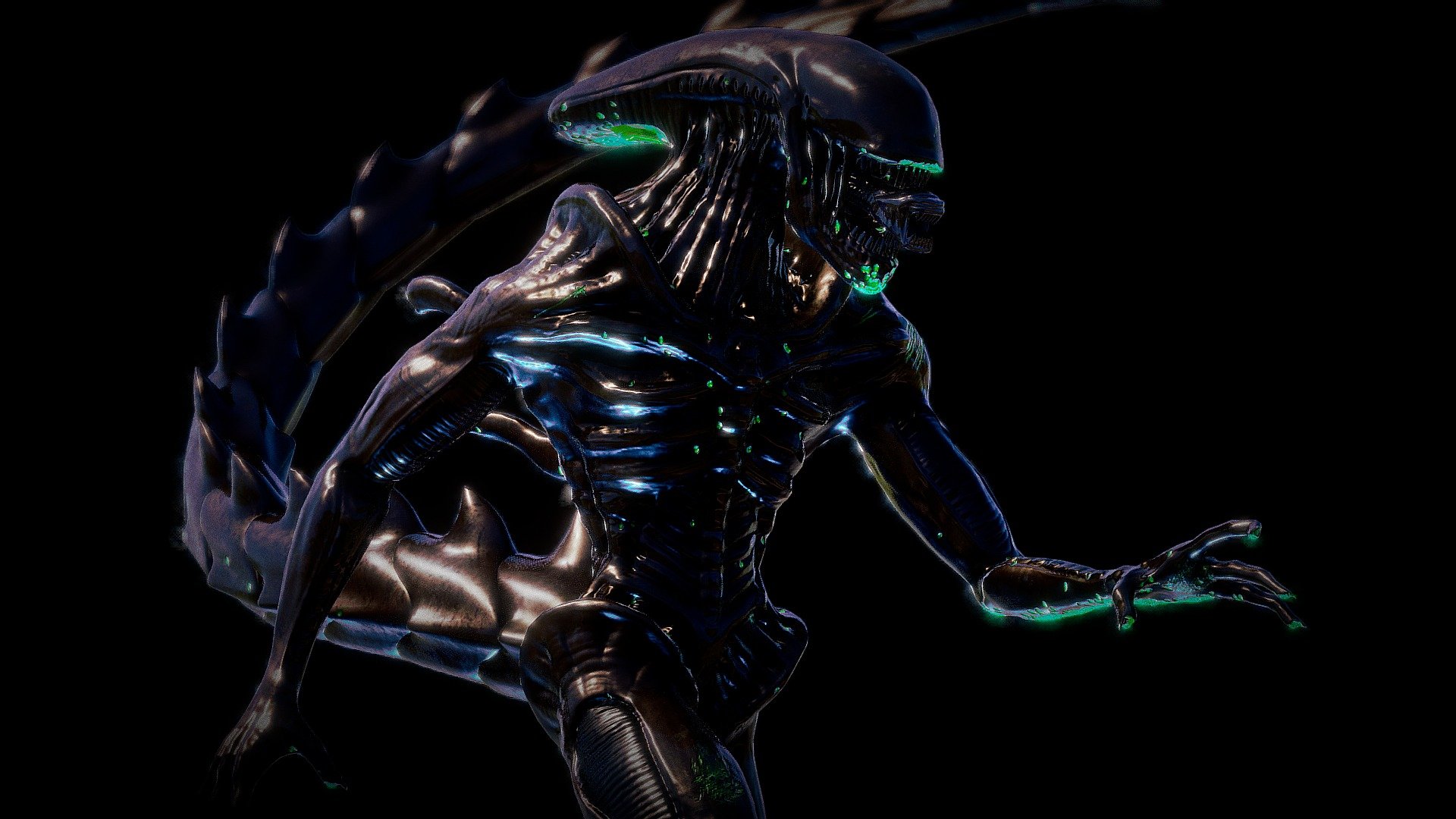 Xenomorph