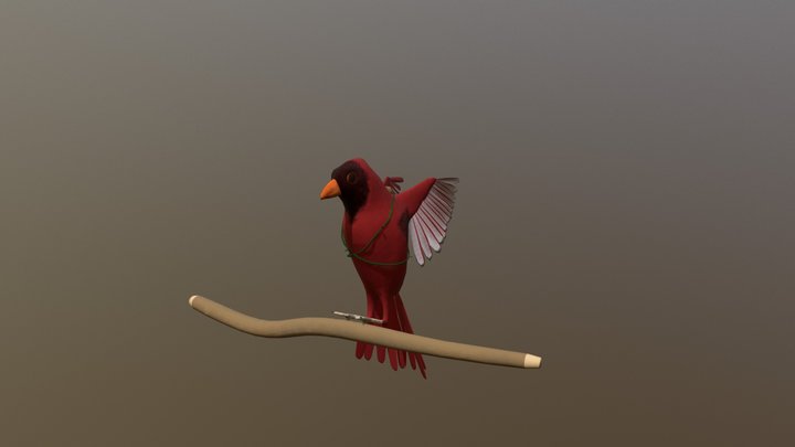 Cardinal Carl Landing 3D Model