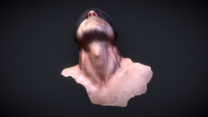 Cuello A01 3D Model
