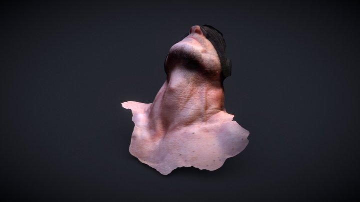 Cuello A01 3D Model