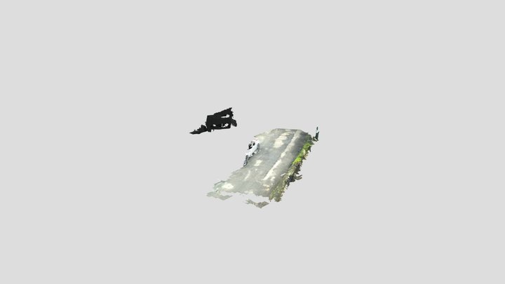 New Model 3D Model