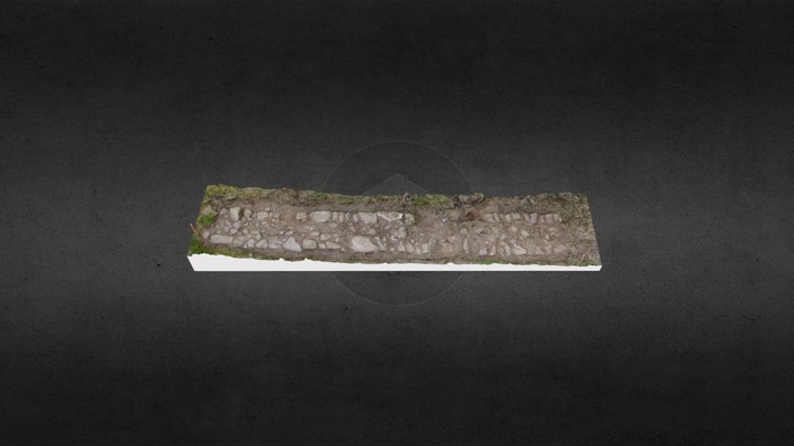 Calzada rural en Goxentzia (Abadiño, Vizcaya) 3D Model