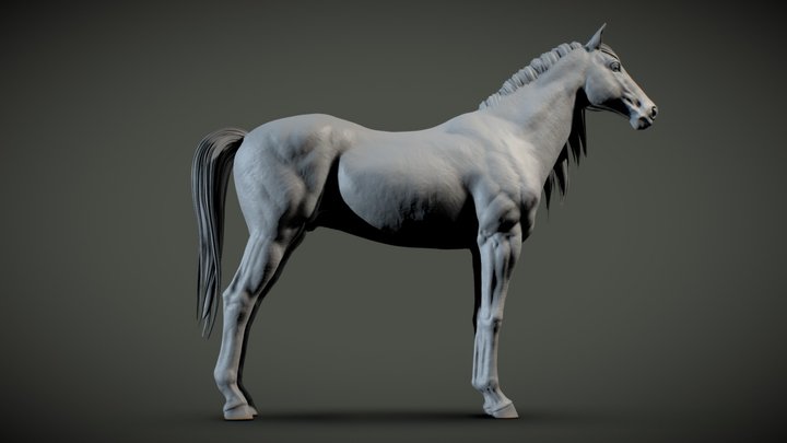Horse Decimated WIP V001 3D Model