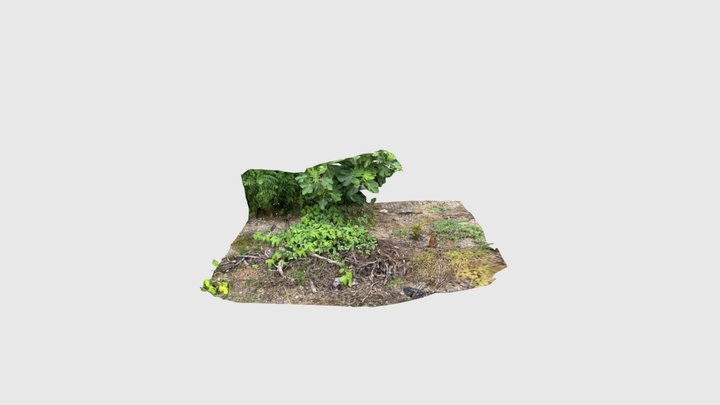 Greenground 3D Model