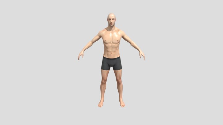Man anatomy 3D Model