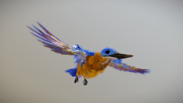 Common kingfisher 3D Model