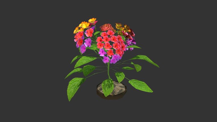 La Planta Lantana Camara 3D Model