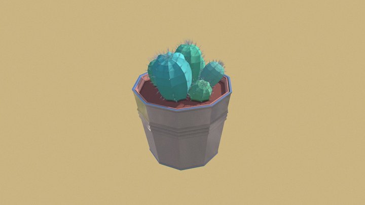 Little cactus 3D Model