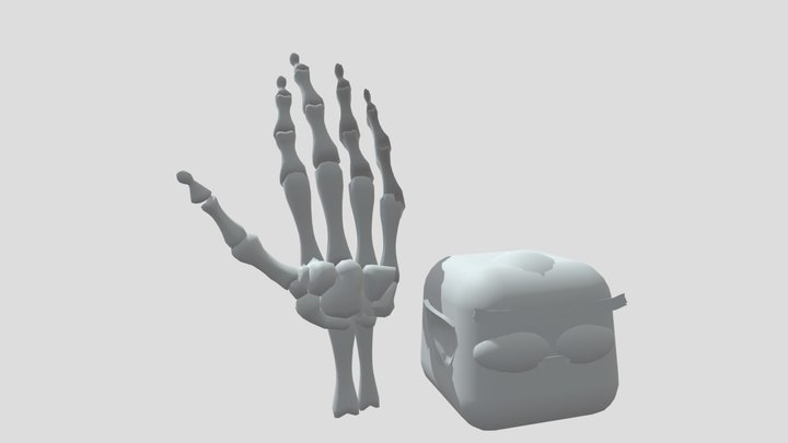 Skeletikgolova 3D Model