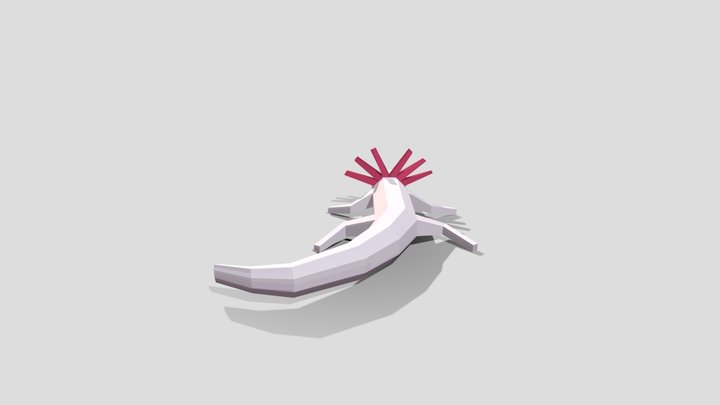 Axolotl 3D Model