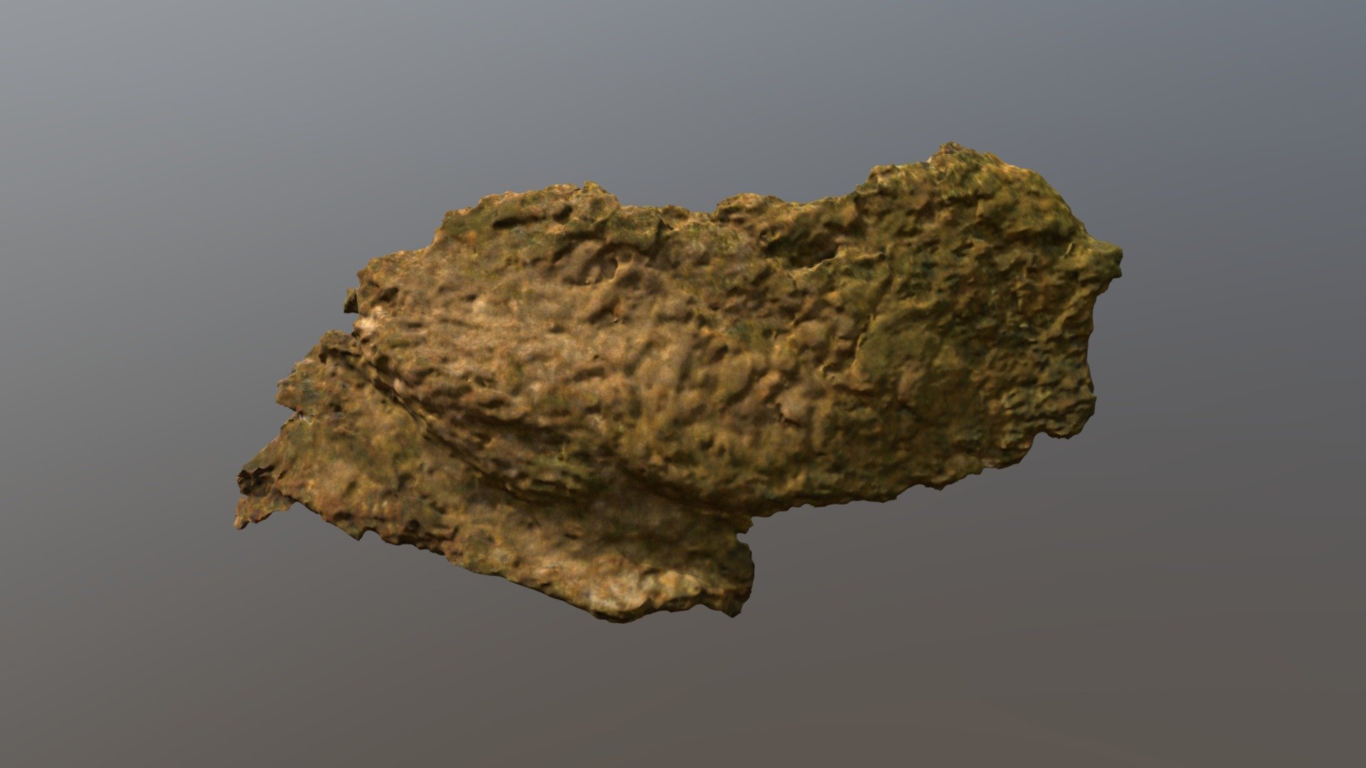 Mammoth Flesh, Dried (VCU_3D_4320)