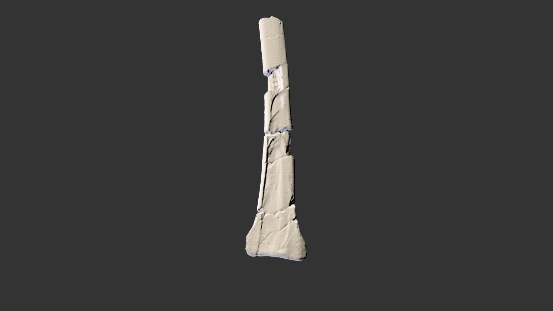 Caenagnathid Tibia UALVP 57349