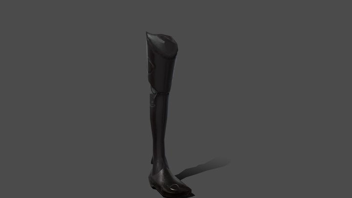 2DAE2E - Prosthetic Leg 3D Model