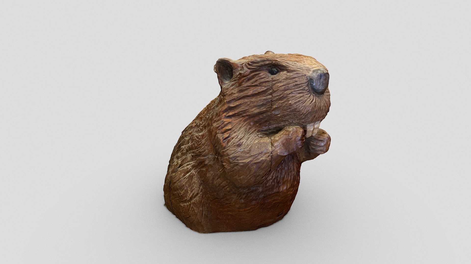 Day 363: Wooden beaver