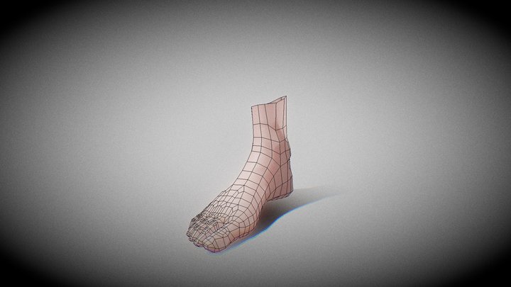 Standard Foot Topo For Ray II – Gratis 3D-model STL