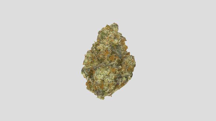 Buddy 2 3D Model