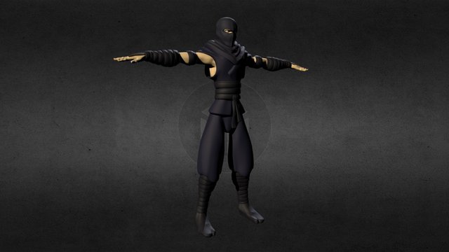 Autodesk Ninja 3D Model