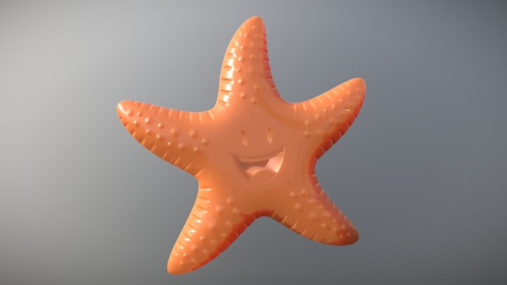 Stowaway Sea Star 3D Model
