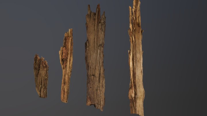 Bark tests 3D Model
