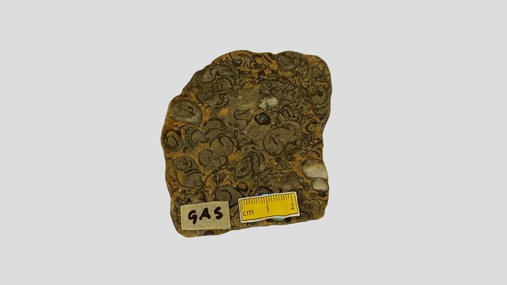 GAS 3D Model