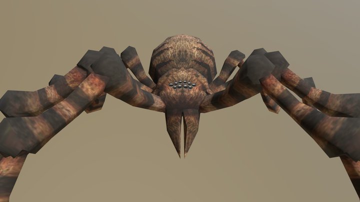spider animation