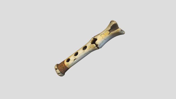 флейта з кістки печерного вемедя – Free 3D Model STL