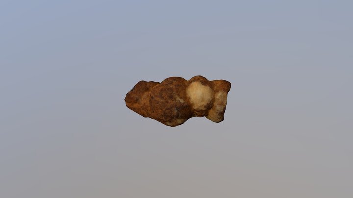 Possible Coprolite 3D Model