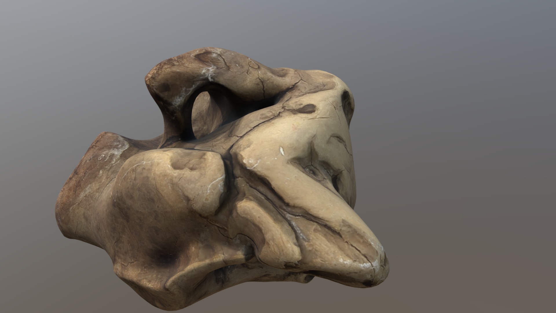 3D model Wood Root - This is a 3D model of the Wood Root. The 3D model is about a sculpture of a lion.