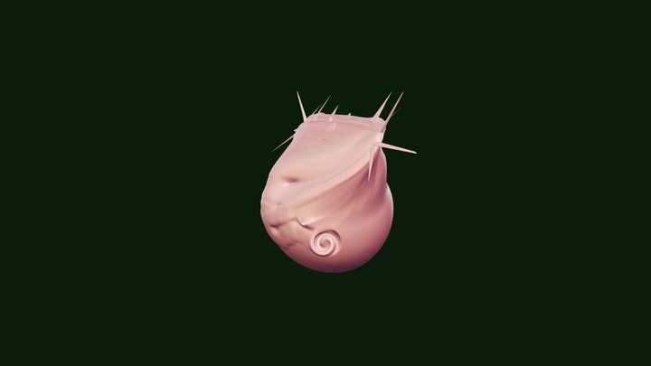 model 1 3D Model