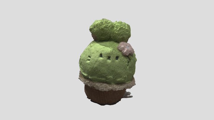 Duoroututu 3D Model