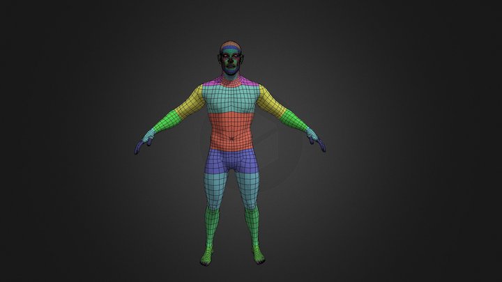 Body_lp 3D Model