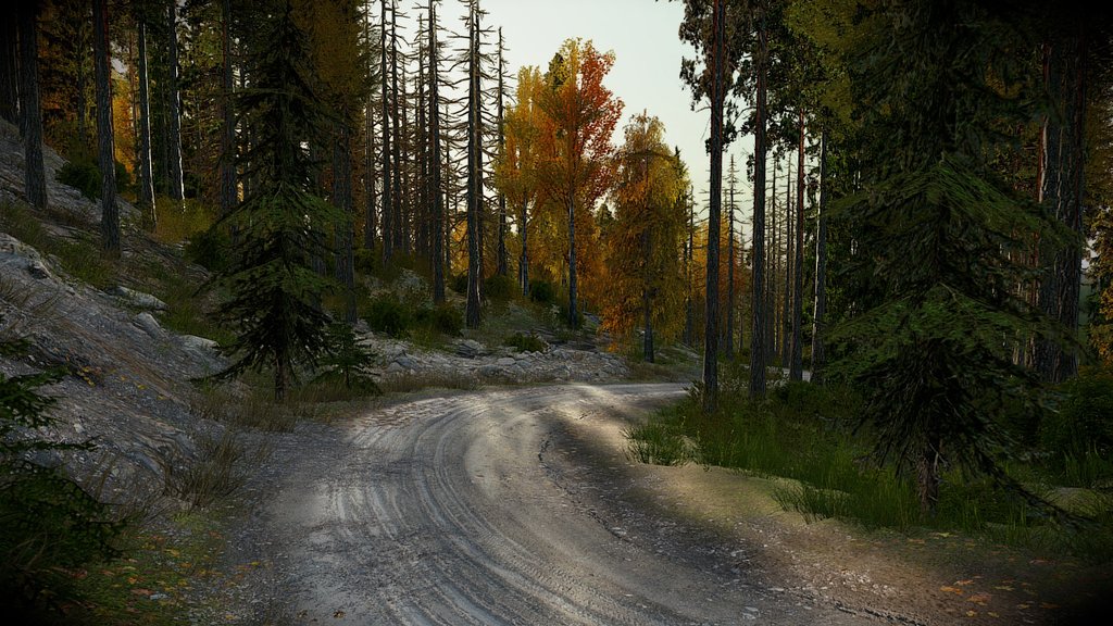 [FREE] Dirt Road Through Forest