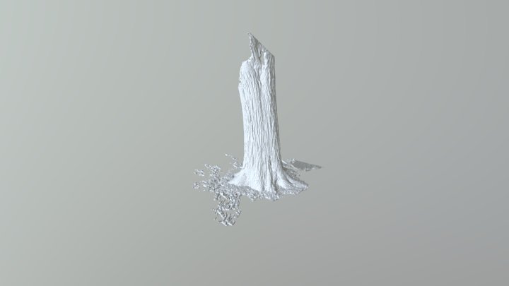 Tree Model 3D Model