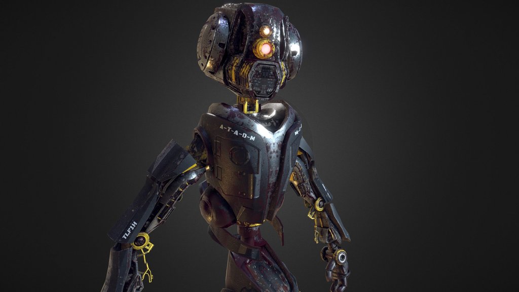 Robot