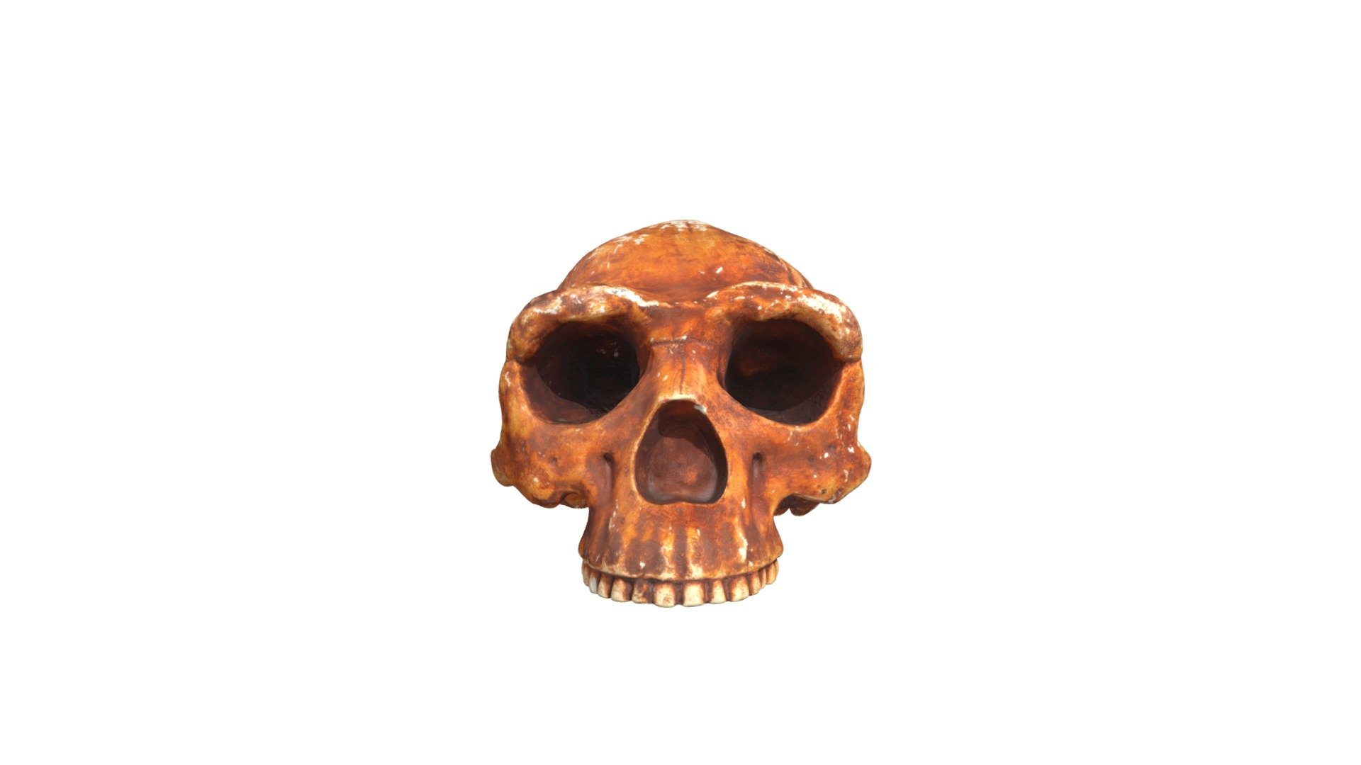Specimen A7