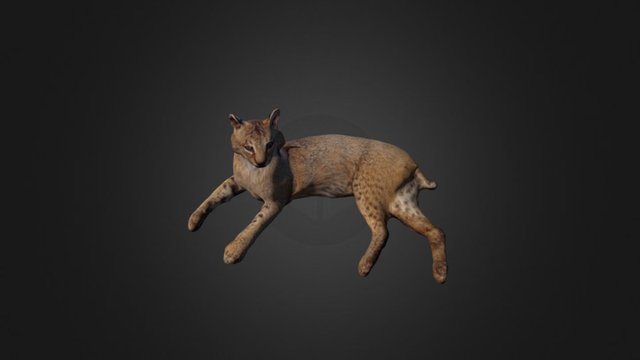 Bobcat – Modelo 3D gratuito STL