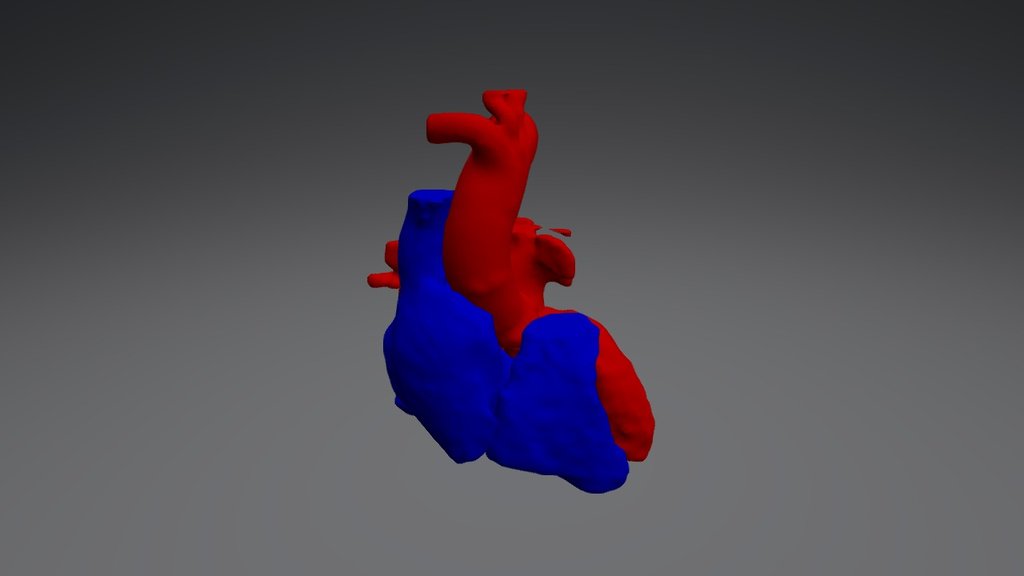 The Heart - 3D model by Nathan @ 3DM (@nathan.wang) [c4792af] - Sketchfab