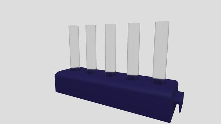 Test Tube Rack 3D Model