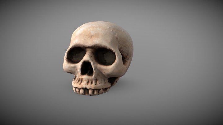 Low Poly Big Skull 3D Model