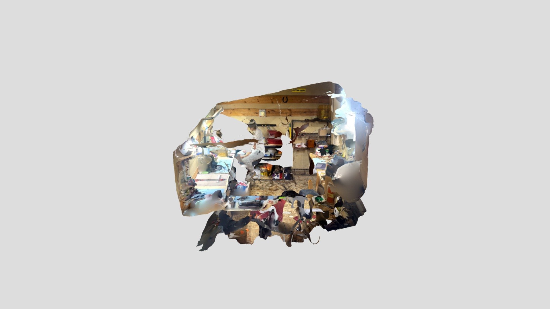 Polycam capture