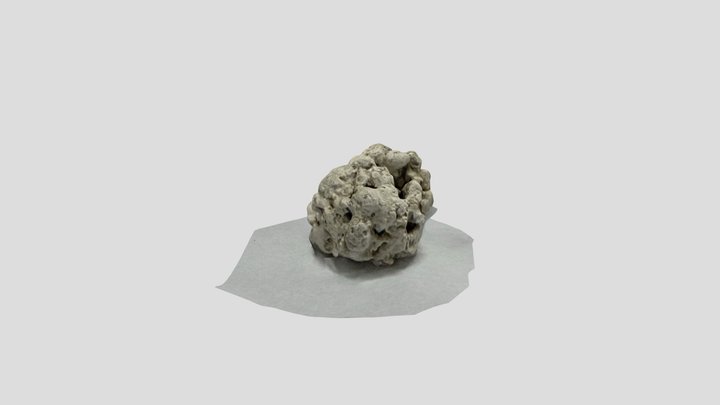 홍조단괴_002 3D Model