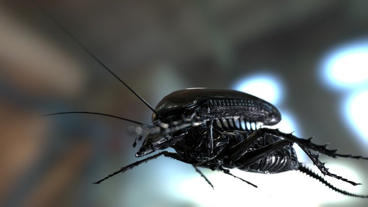 Alien roach 3D Model