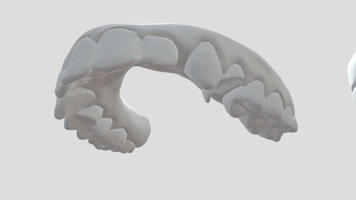 jaw sf 3D Model