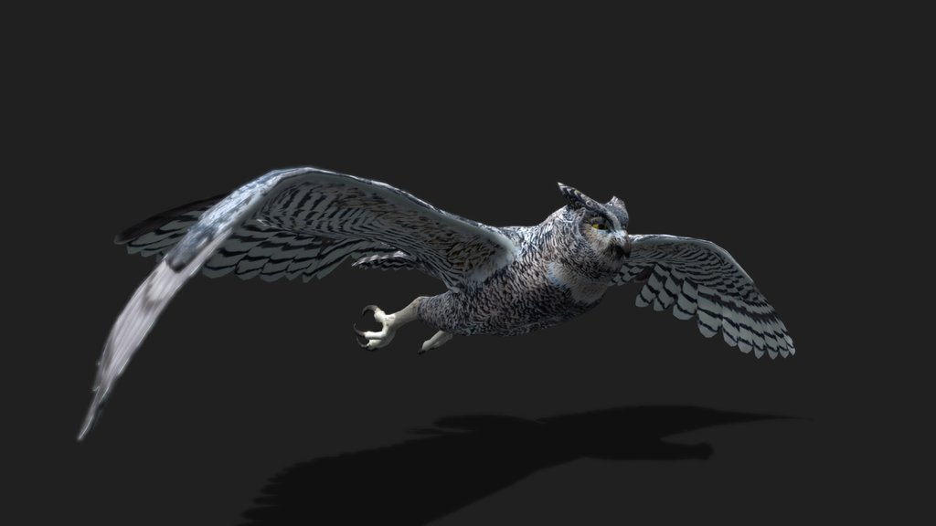 Realistic Animated Owl 3D Model