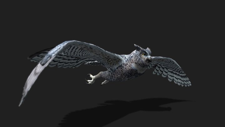 Realistic Animated Owl 3D Model 3D Model