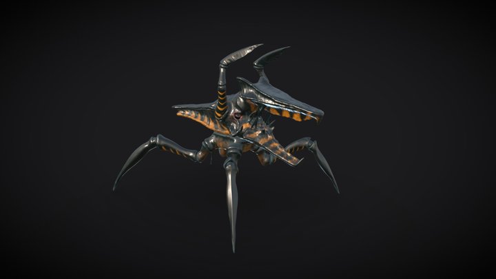 ZWarrior 3D Model